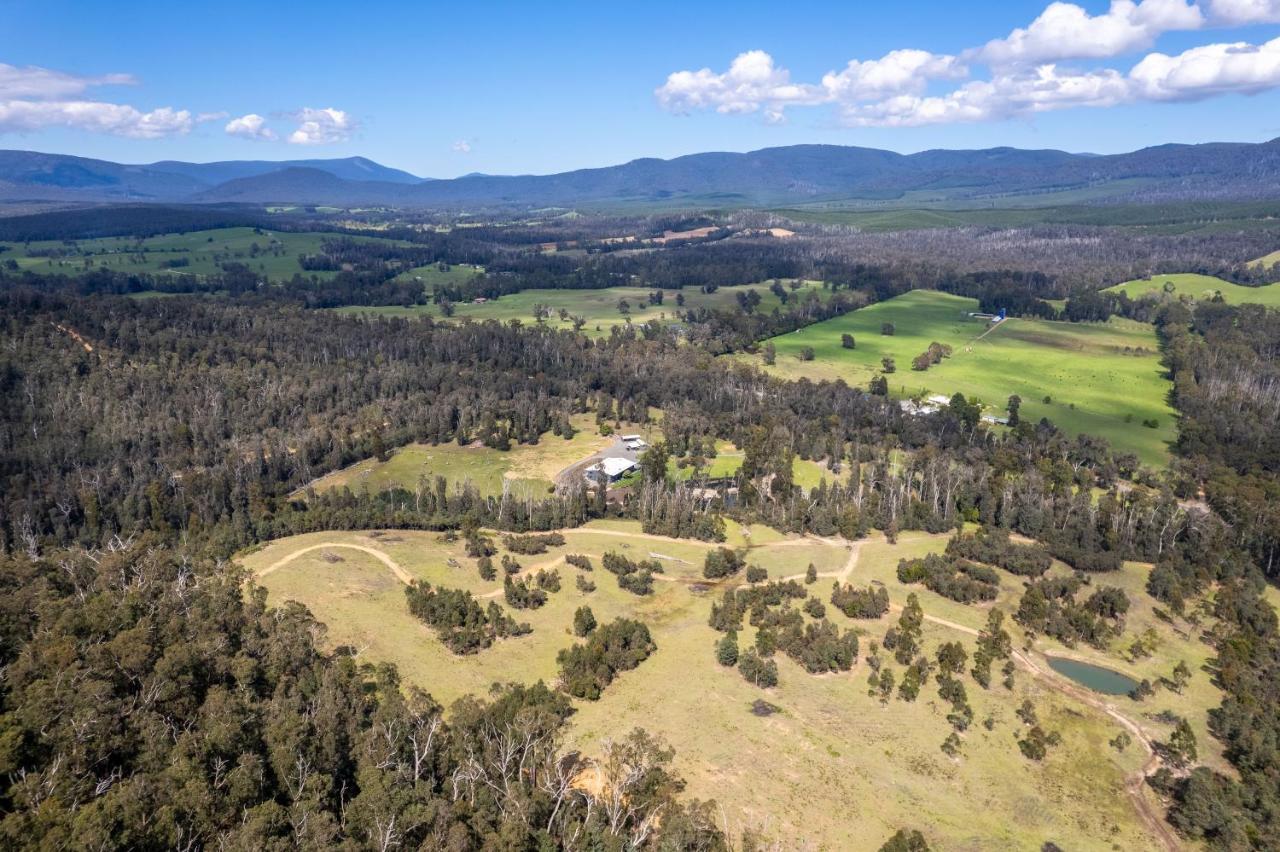 Saladin Lodge Narbethong Exterior photo