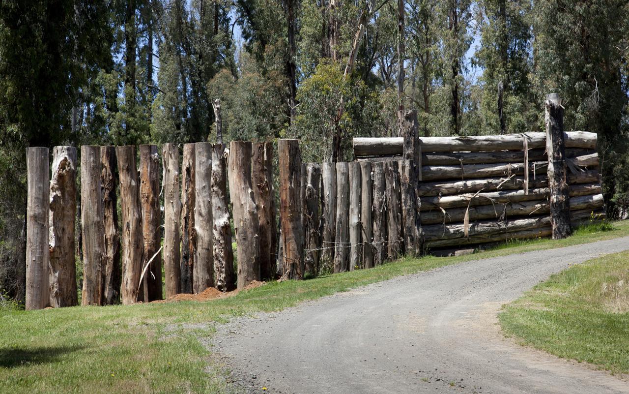 Saladin Lodge Narbethong Exterior photo