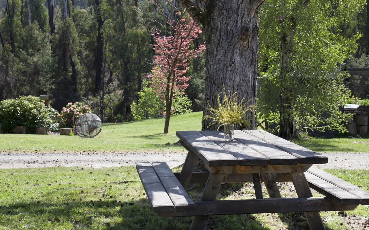 Saladin Lodge Narbethong Exterior photo