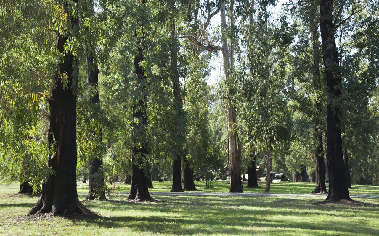 Saladin Lodge Narbethong Exterior photo