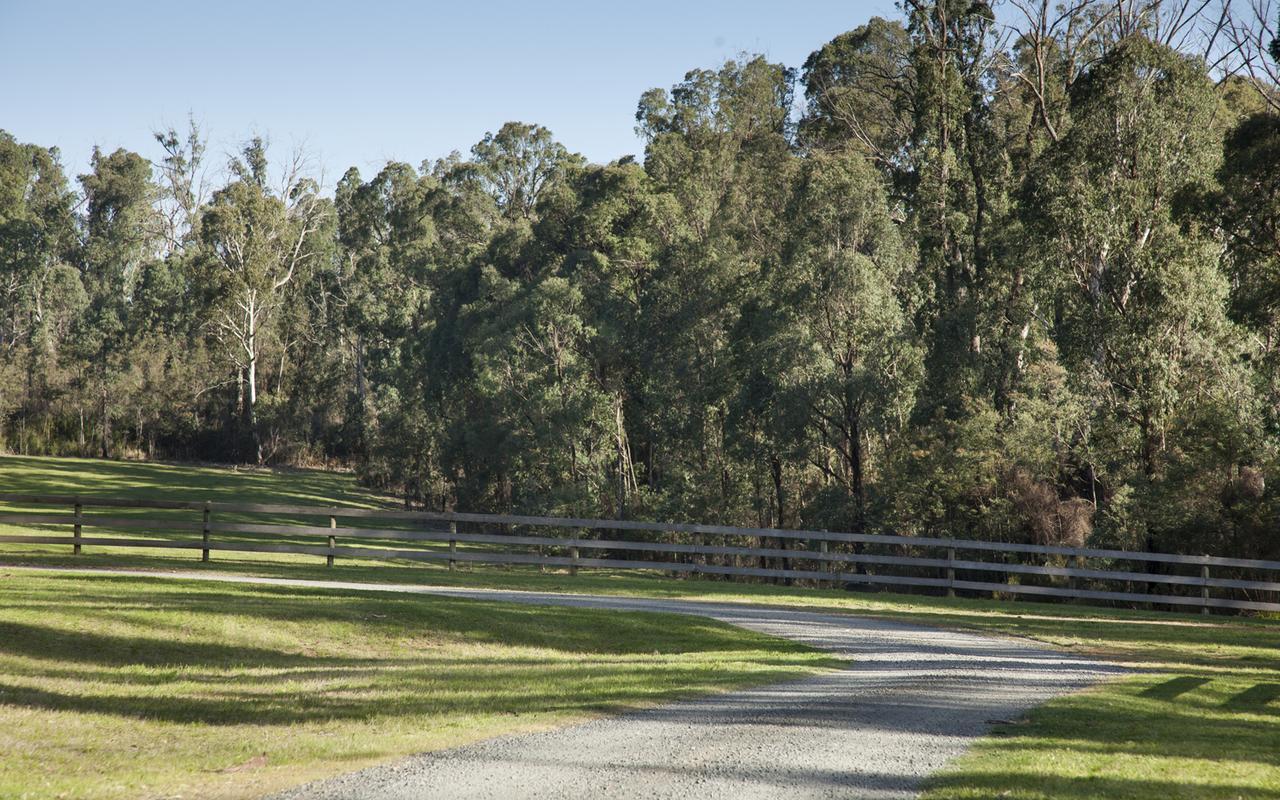 Saladin Lodge Narbethong Exterior photo