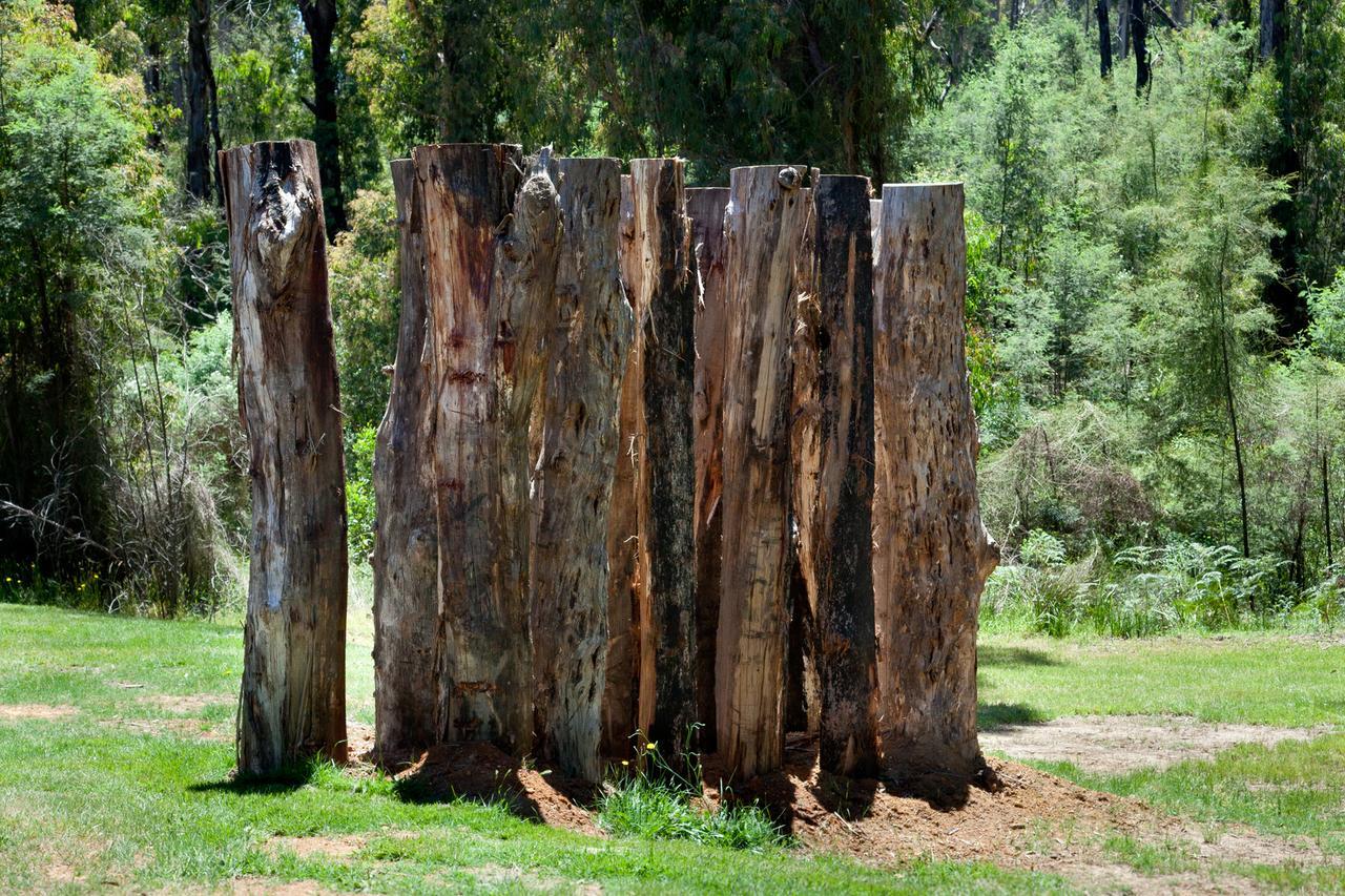 Saladin Lodge Narbethong Exterior photo