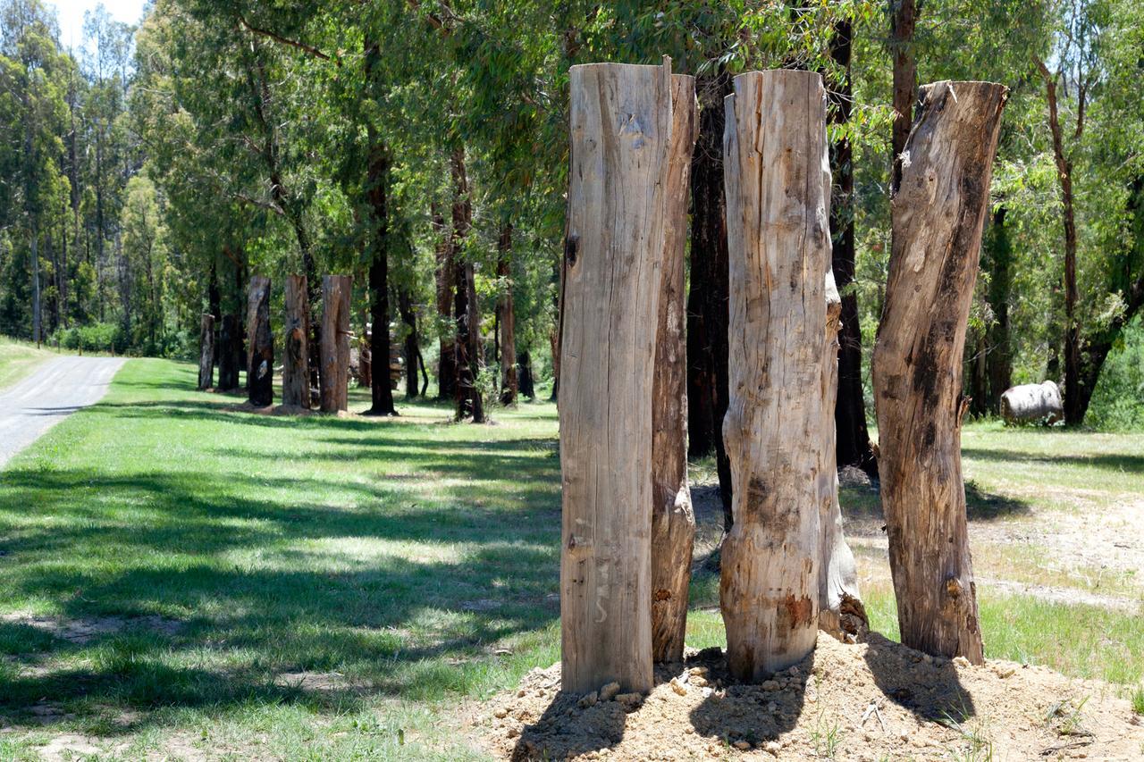 Saladin Lodge Narbethong Exterior photo